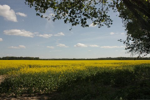 Altmrkische Landschaft