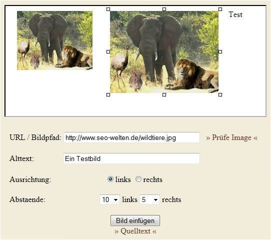 Bilder im Wysiwig-Editor einfgen